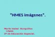 Práctica 6: Presentación HMES
