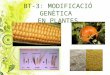 Modificació genètica en plantes