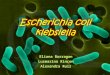 Exposicion de-e[1].-coli-y-klebsiella