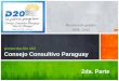 Informe de Gestión. D20 Paraguay (2da. Parte)