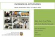 Informe activiadesseccionconsulado nov2013-feb2015