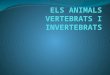 Els animals vertebrats i invertebrats  - Pol Dòria (Escola del Parc)