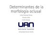 Séptimo seminario determinantes de la morfología oclusal