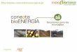 Experiencias de la Diputación de Sevilla con la biomasa
