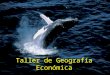 Geografía económica (Diego)