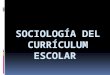 Sociología del currículum