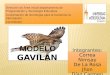 Presentacion modelo   gavilán