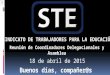 Reunión de Coordinadores Delegacionales y Asamblea  18 de abril STE