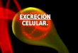 Excreción celular