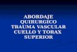 Lesion vascular torax, Dr. Ernesto Urroz A