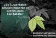 Es sustentable ambientalmente el crecimiento capitalista?