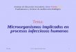 Microorganismos implicados en procesos infecciosos humanos