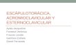 Articulacion escápulotorácica, acromioclavicular y esternoclavicular