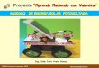 Mod car solar_aprend