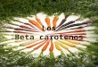 Los beta carotenos