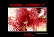Madame butterfly