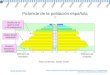 Evolución de la pirámide de población