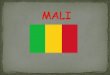 Mali En Ciclo Inicial   Final