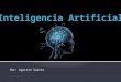 Inteligencia artificial Agustin Suarez