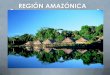 Región amazónica