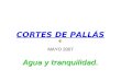 CORTES DE PALLÁS MAYO 2007