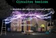 circuitos basicos
