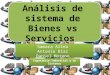 Analisis de sistemas de bienes vs servicios