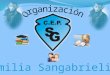 C.E.P. San Gabriel - Organización