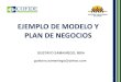 Ejemplo de modelo y plan de negocios