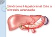 Síndrome hepatorrenal