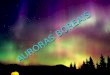 Auroras boreais