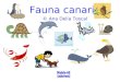 Fauna canaria