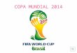 Copa mundial de fútbol 2014 (fifa)
