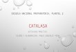 Presentacion catalasa