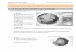 Adaptación para Ciencias Sociales de "La superficie terrestre litosfera e hidrosfera" para a.c.n.e.a.e