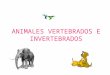 Animales vertebrados-e-invertebrados2