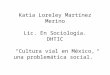 Cultura vial en México, una problemática social