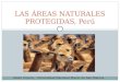 Las áreas naturales protegidas del Perú