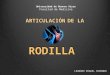 Articulación de la Rodilla - Leandro Bidondo