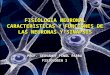 Introducción a la fisiología neuronal