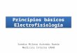 SEMINARIO Principios electrofisiología básica