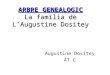 Arbre genealogic augustine