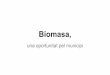 Biomasa, futuro inmediato