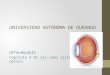 Expo oftalmologia