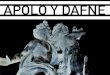 Análisis visual de Apolo y Dafne con Metodología Panofsky