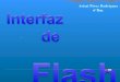 Flash  interfaz