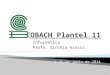 Emplear Software Educativo - COBACH Plantel 11