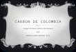 Carbon de colombia