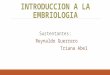 Terminologia embriologica