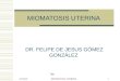 Miomatosis uterina[2]